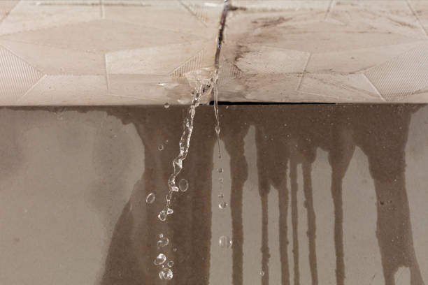 Professional Burst Pipe Cleanup technician working in Bastrop, TX